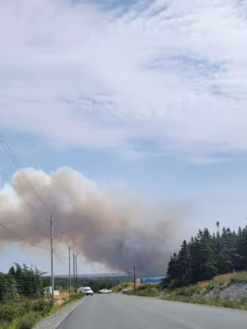 Wildfires
