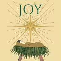 Joy + advent image
