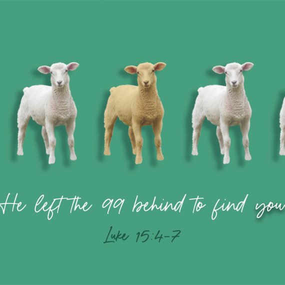 The Lost sheep graphic