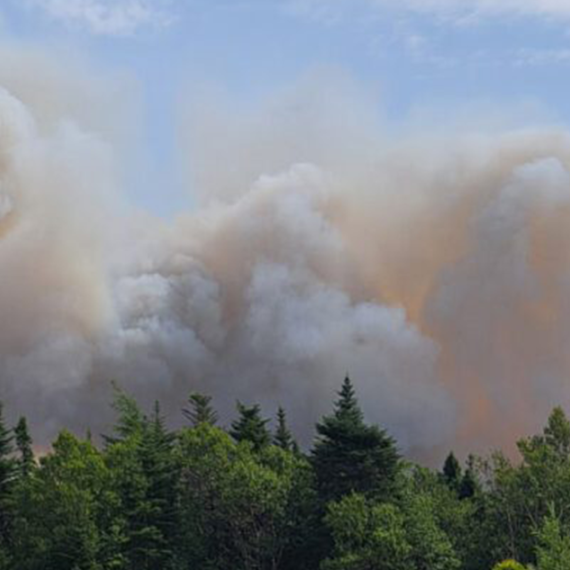 Wildfires