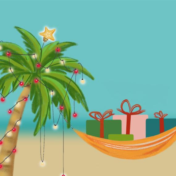Palm trees with Christmas lights